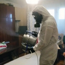 Дезинфекция от клопов в Новозыбкове