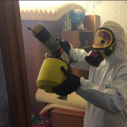 Уничтожение клопов в квартире. Новозыбков
